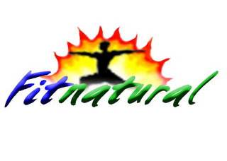 FITNATURAL logo