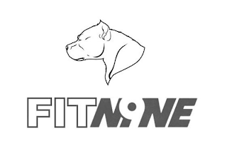 FITNI9NE logo
