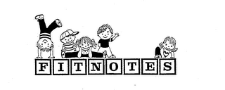 FITNOTES logo