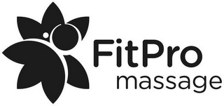 FITPRO MASSAGE logo