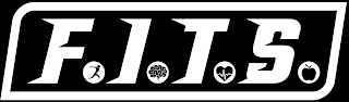 FITS logo