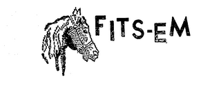 FITS-EM logo