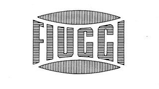 FIUGGI logo
