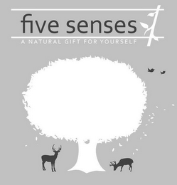 FIVE SENSES A NATURAL GIFT FOR YOURSELF logo