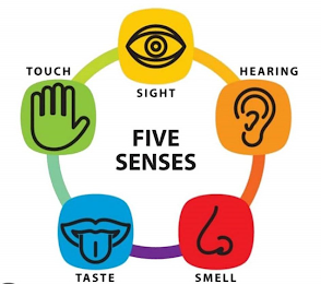 FIVE SENSES TOUCH SIGHT HEARING SMELL TASTE logo