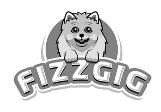 FIZZGIG logo