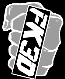 FK3D logo