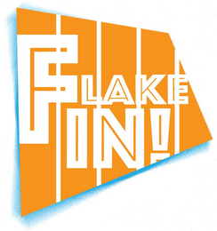 FLAKE IN! logo