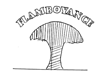 FLAMBOYANCE logo