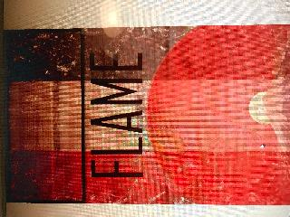 FLAME logo