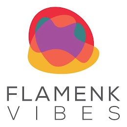FLAMENK VIBES logo