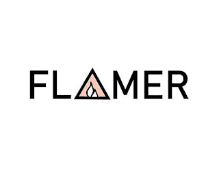 FLAMER logo