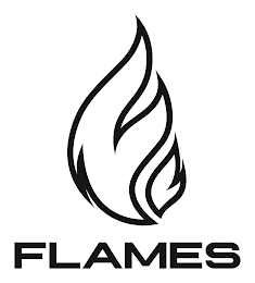 FLAMES logo