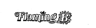 FLAMING B logo
