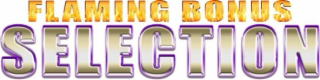 FLAMING BONUS SELECTION logo