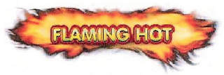 FLAMING HOT logo