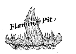 FLAMING PIT logo