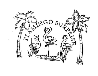 FLAMINGO SURPRISE logo