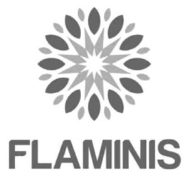 FLAMINIS logo