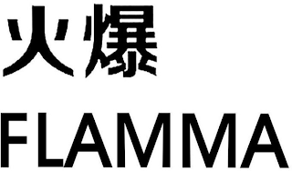 FLAMMA logo