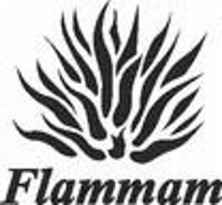 FLAMMAM logo