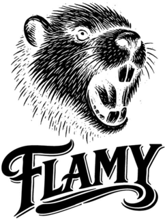 FLAMY logo