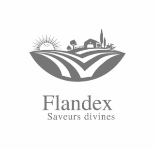 FLANDEX SAVEURS DIVINES logo