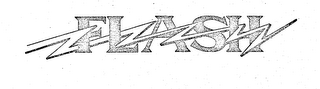FLASH logo