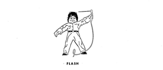 FLASH logo