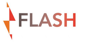FLASH logo