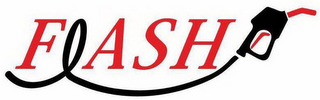 FLASH logo