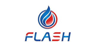 FLASH logo