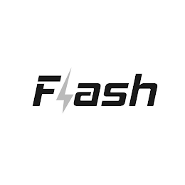 FLASH logo
