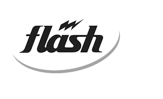 FLASH logo