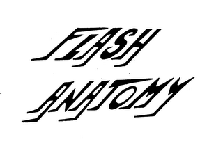 FLASH ANATOMY logo