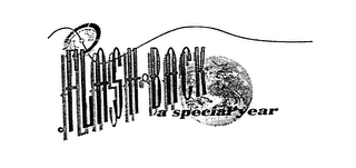 FLASH BACK A SPECIAL YEAR logo