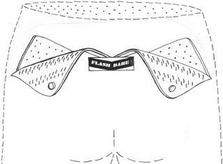 FLASH DARE! logo