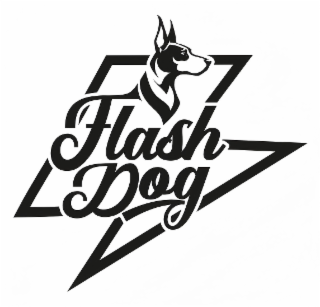 FLASH DOG logo