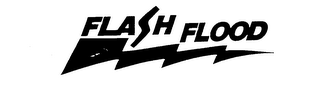 FLASH FLOOD logo