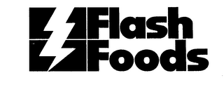 FLASH FOODS logo