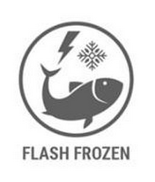 FLASH FROZEN logo