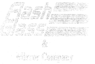 FLASH GLASS & MIRROR COMPANY logo