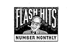 FLASH HITS NUMBER MONTHLY logo