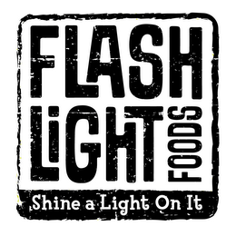 FLASH LIGHT FOODS SHINE A LIGHT ON IT logo