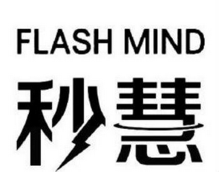 FLASH MIND logo