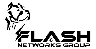 FLASH NETWORKS GROUP logo