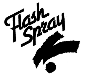 FLASH SPRAY logo