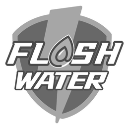 FLASH WATER logo
