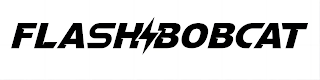 FLASHBOBCAT logo