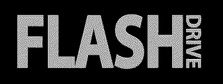 FLASHDRIVE logo
